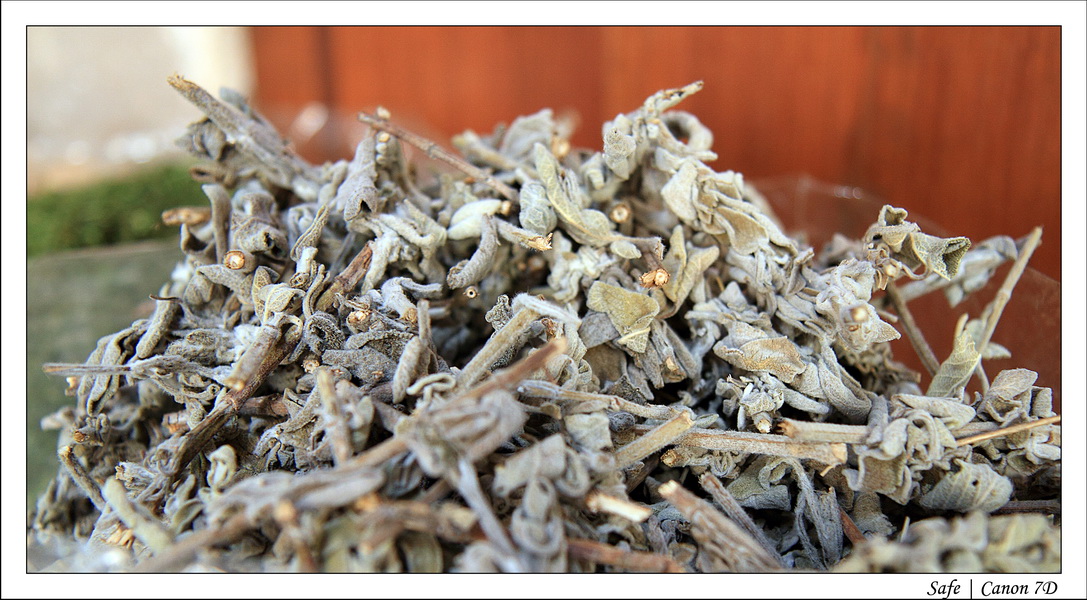 2012 - 06 - Dubai - 205